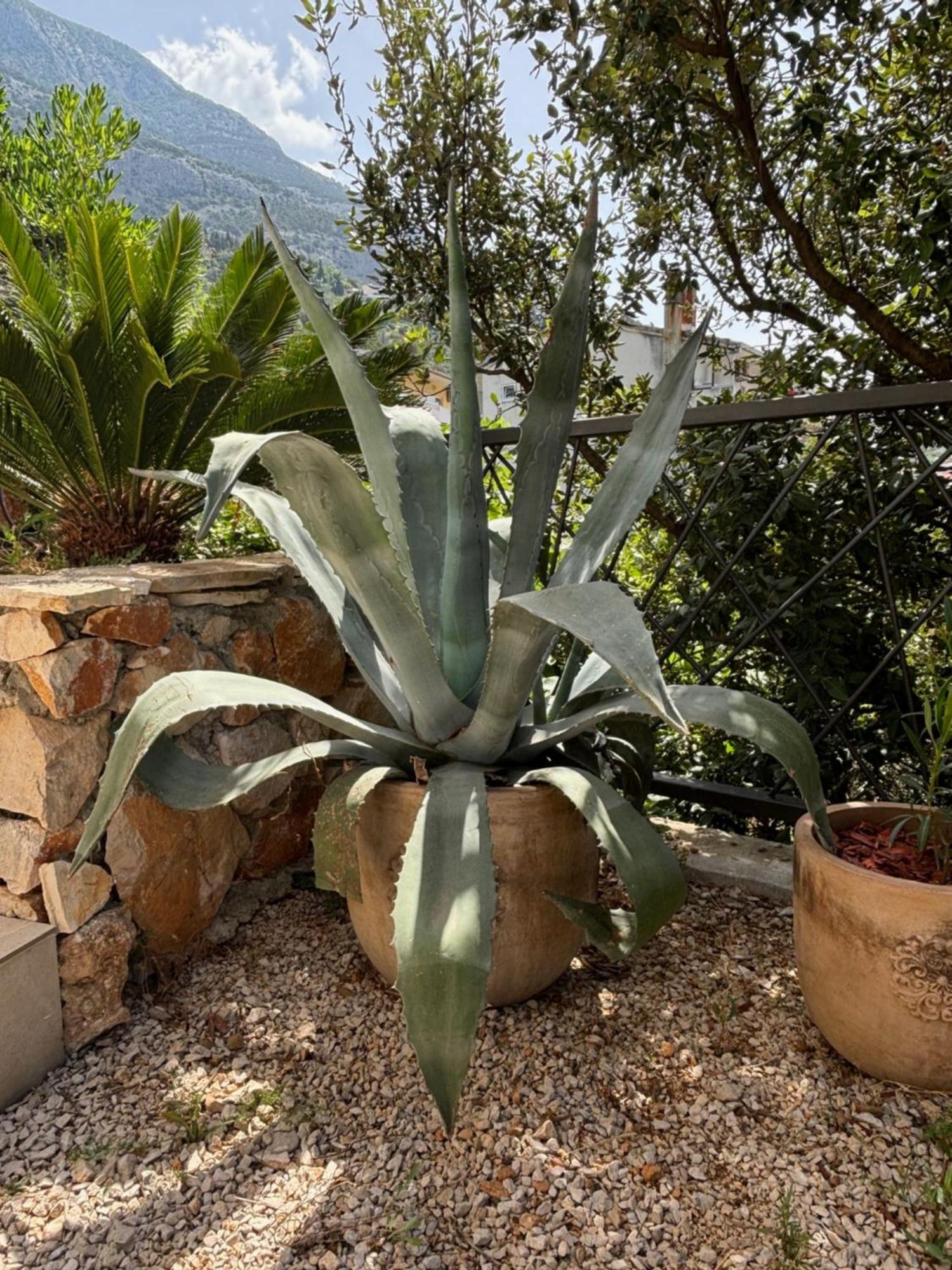 Villa Oleana Makarska Esterno foto